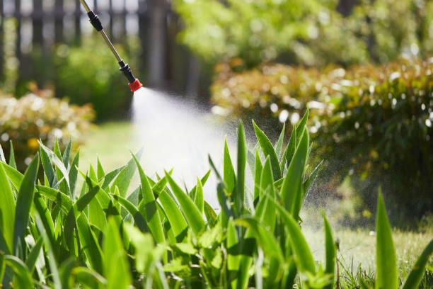 Tamper-Resistant Bait Stations for Rodents in Norman