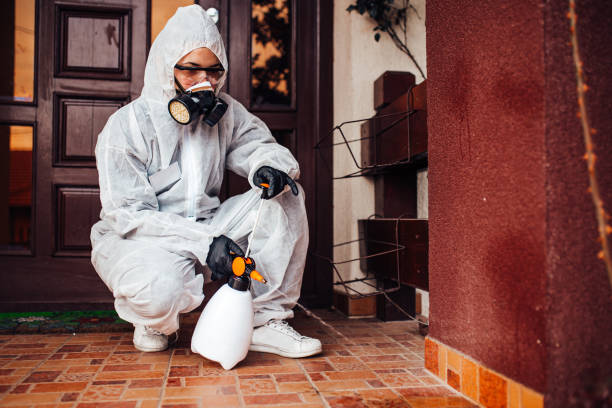 Attic and Crawl Space Rodent Treatment in Norman